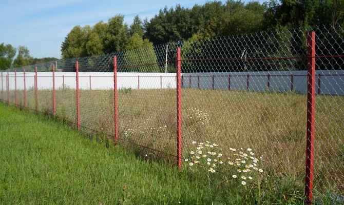 изображение_2023-08-07_152555862.jpg изображение_2023-08-07_152555862.jpg