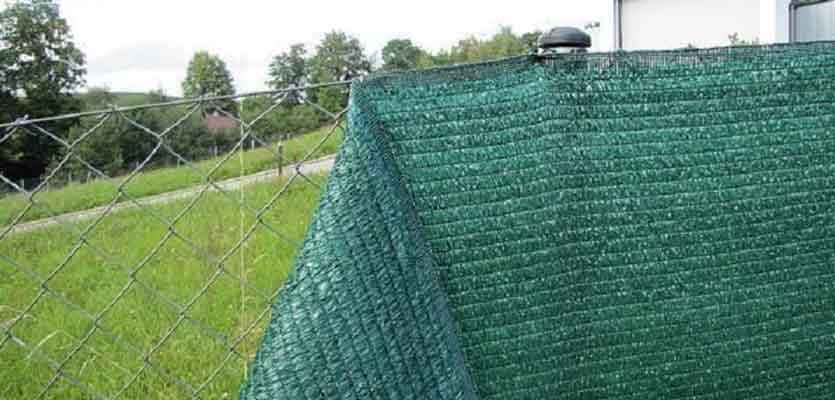 изображение_2023-08-07_151431268.jpg изображение_2023-08-07_151431268.jpg