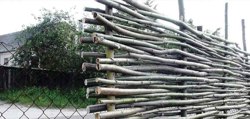 изображение_2023-08-07_151359208.jpg изображение_2023-08-07_151359208.jpg