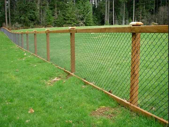 изображение_2023-08-07_152642555.jpg изображение_2023-08-07_152642555.jpg