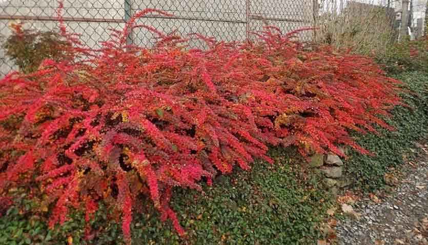 изображение_2023-08-07_150412148.jpg изображение_2023-08-07_150412148.jpg